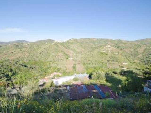 Image No.1-4 Bed Finca for sale