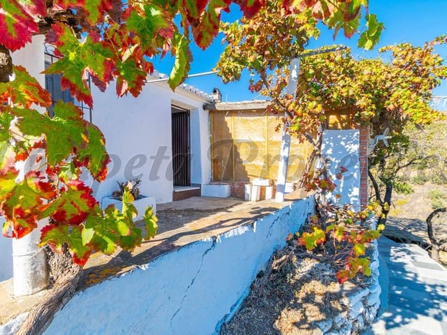 Image No.1-Finca de 2 chambres à vendre à Torrox