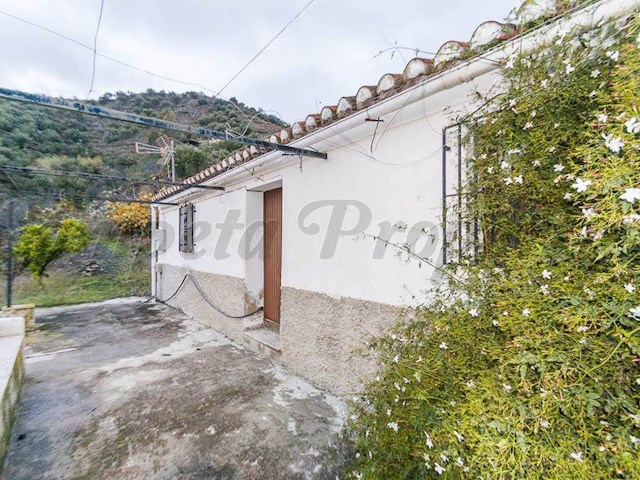 Image No.1-1 Bed Finca for sale