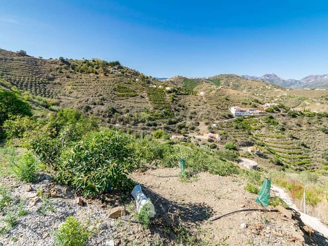 Image No.1-Finca à vendre à Torrox