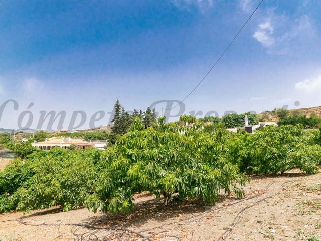 Image No.1-3 Bed Finca for sale