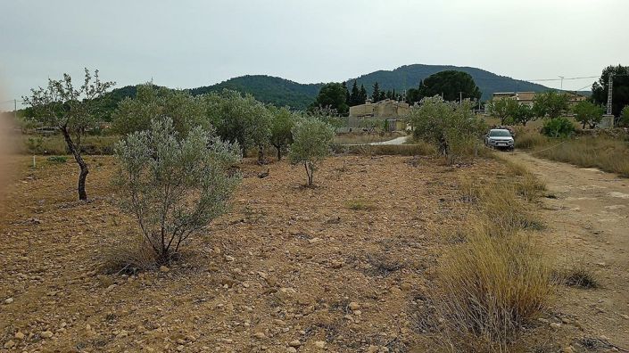 Image No.1-Land for sale