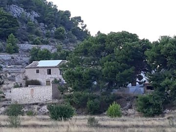 2vista-sur-con-pino-finca-639x479