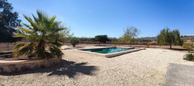 22390-villa-for-sale-in-pinoso-1259694-large