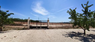 5742-villa-for-sale-in-pinoso-259662-large