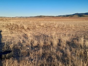 10887-land-for-sale-in-yecla-554307-large