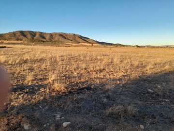 10887-land-for-sale-in-yecla-554308-large