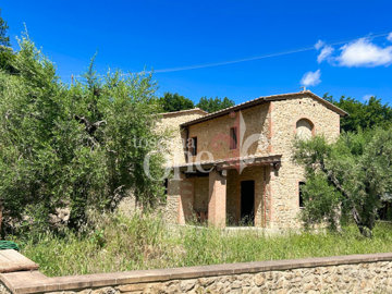 1 - Volterra, House