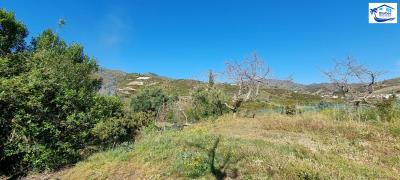 For-Sale-Countryside-House-in-Benamargosa--Malaga--Spain--19-