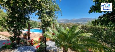 For-Sale-Independent-Villa-in-Los-Romanes--Malaga--Costa-del-Sol--3-