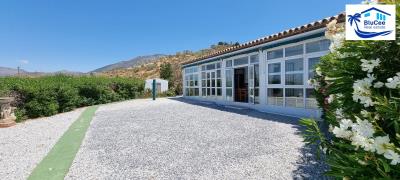 For-Sale-Independent-Villa-in-Canillas-de-Caeituno--Inland-Andalusia--4-