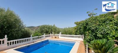 For-Sale-Independent-Country-House-in-Vilo--Periana--Inland-Andalusi--Spain--2-