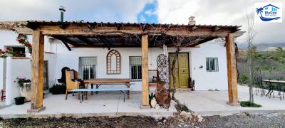 For-House-with-Olive-Trees--Inland-Andalusia--Malaga--Colmenar--1-