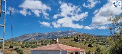 Fors-Sale-Independent-Villa-in-Rubite--Malaga--1-