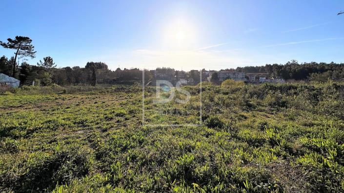 Image No.1-Land for sale