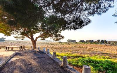 Torrevieja-Lakes6