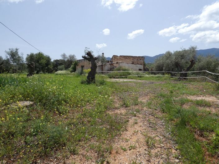 Image No.1-Maison de campagne à vendre à Alhaurín el Grande