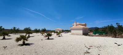 villa-for-sale-in-pinoso-13