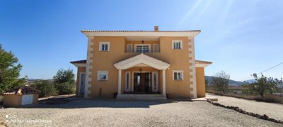 8518-villa-for-sale-in-pinoso-418076-large