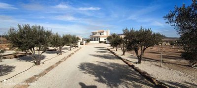 10936-villa-for-sale-in-pinoso-561363-large