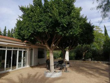 country-house-for-sale-in-crevillente-es300-1