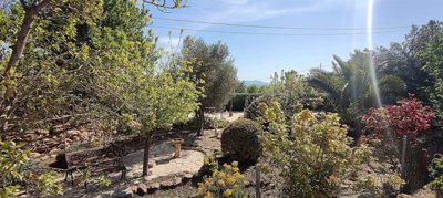 country-house-for-sale-in-pinoso-5