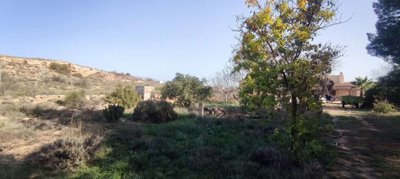 23479-country-house-for-sale-in-pinoso-135447