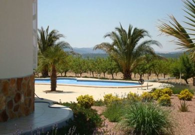 23966-villa-for-sale-in-pinoso-1382229-large