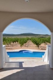 23966-villa-for-sale-in-pinoso-1382231-large