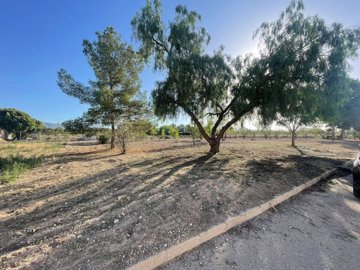 land-for-sale-in-pinoso-10