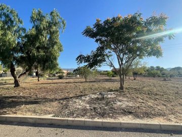 land-for-sale-in-pinoso-11