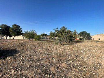 land-for-sale-in-pinoso-12