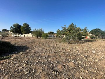 land-for-sale-in-pinoso-13