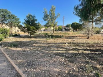 land-for-sale-in-pinoso-15