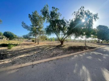 land-for-sale-in-pinoso-3