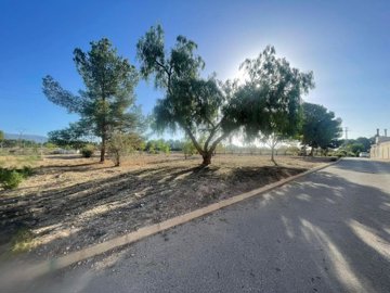 land-for-sale-in-pinoso-4