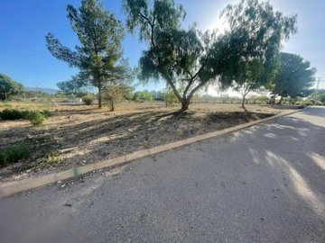 land-for-sale-in-pinoso-6