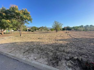 land-for-sale-in-pinoso-8