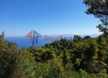 1 - Skopelos, Property