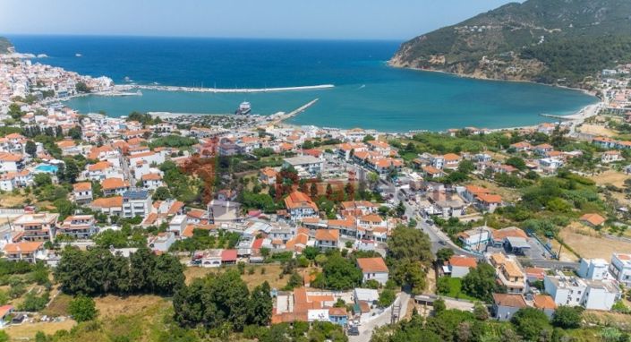 Image No.1-Propriété de 1 chambre à vendre à Skopelos