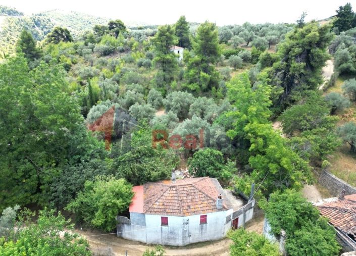 Image No.1-Propriété de 2 chambres à vendre à Skopelos