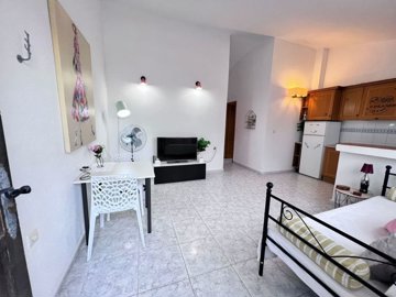 apartment-in-san-miguel-de-salinas-9-large