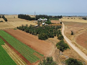 Field - Kouklia, Paphos