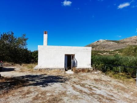 Image No.1-Terre à vendre à Sitia