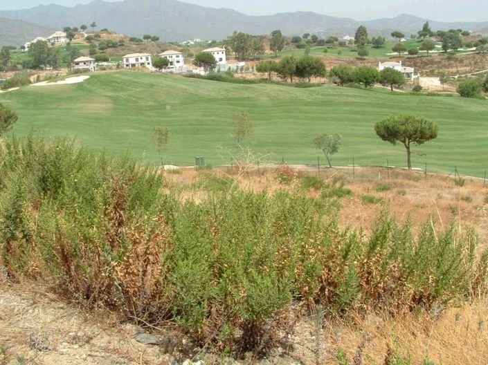 Image No.1-Terrain à vendre à Mijas Costa