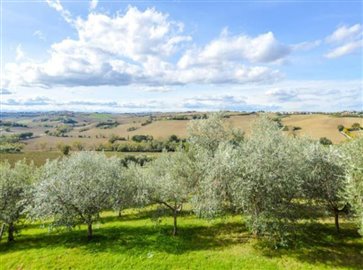 ima31695-2020-11-farmhouse-marche-jesi-italy-019-758x564