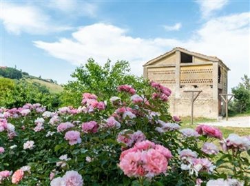 ima37418-2022-07-farmhouse-cingoli-marche-italy-011-758x564