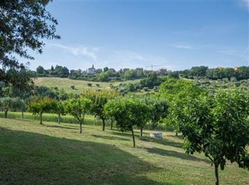 ima37418-2022-07-farmhouse-cingoli-marche-italy-032-758x564