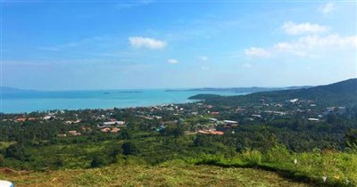 1 - Surat Thani, Terre