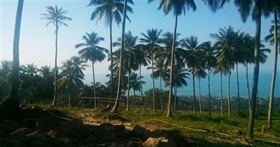 koh-samui-sea-view-land-for-sale-in-bangpor-1